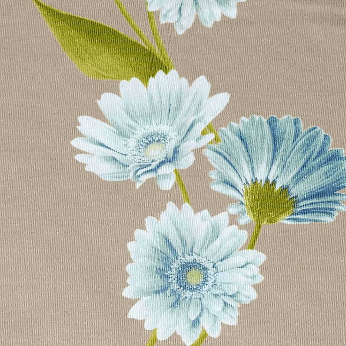 Gerbera Sham