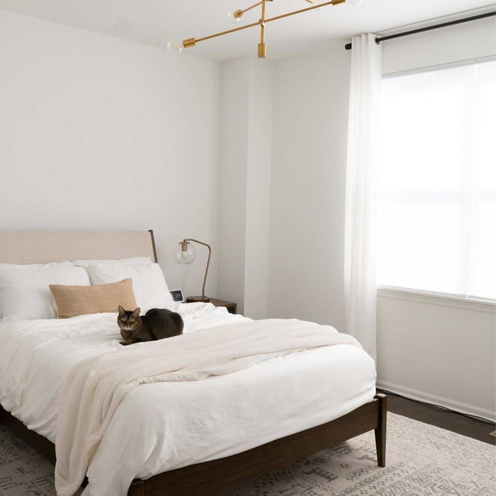 Bed with white bedding with a cat laying on it |Color:White