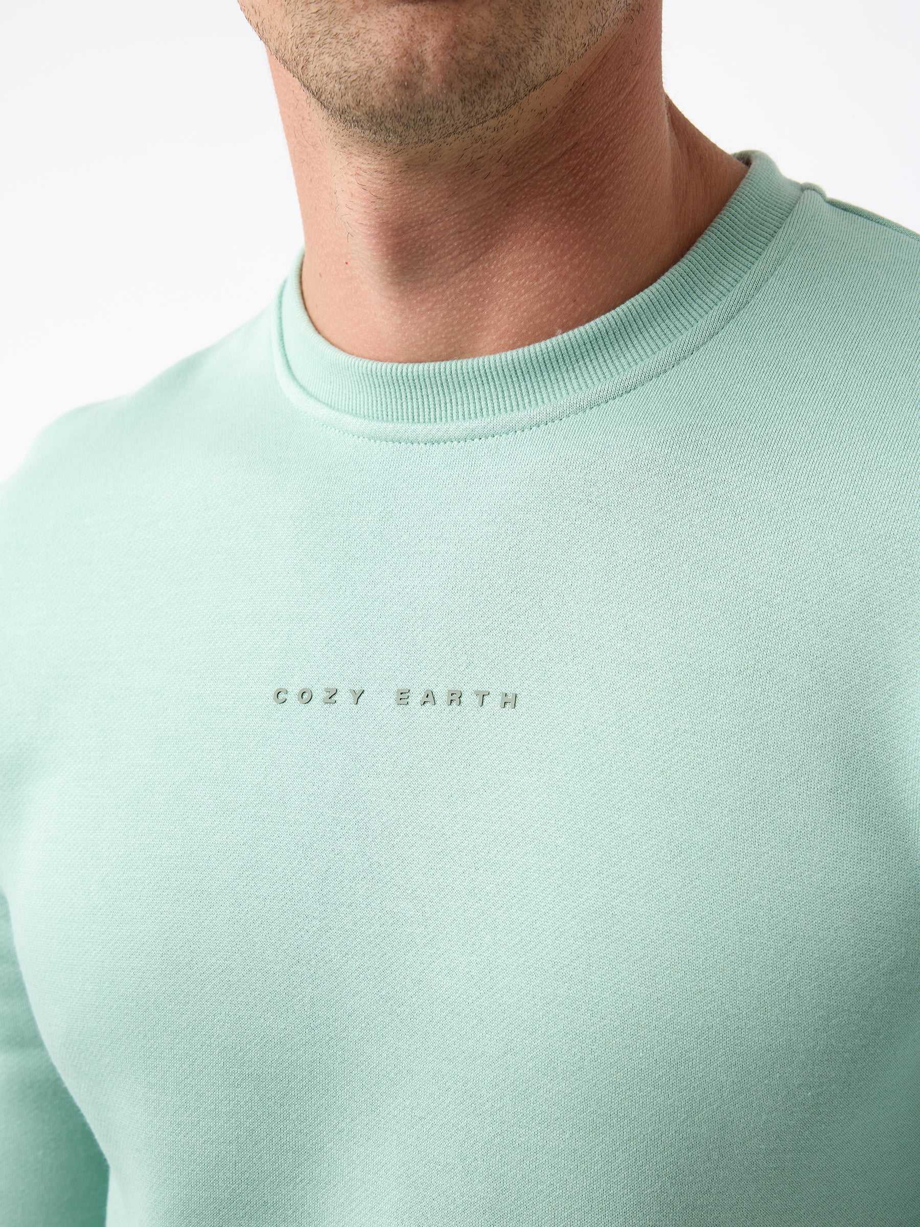 A person wearing a Men's CityScape Crewneck in light green with "Cozy Earth" printed on the front. The focus is on the upper section of the clothing, set against a plain white background. |Color:Wintergreen