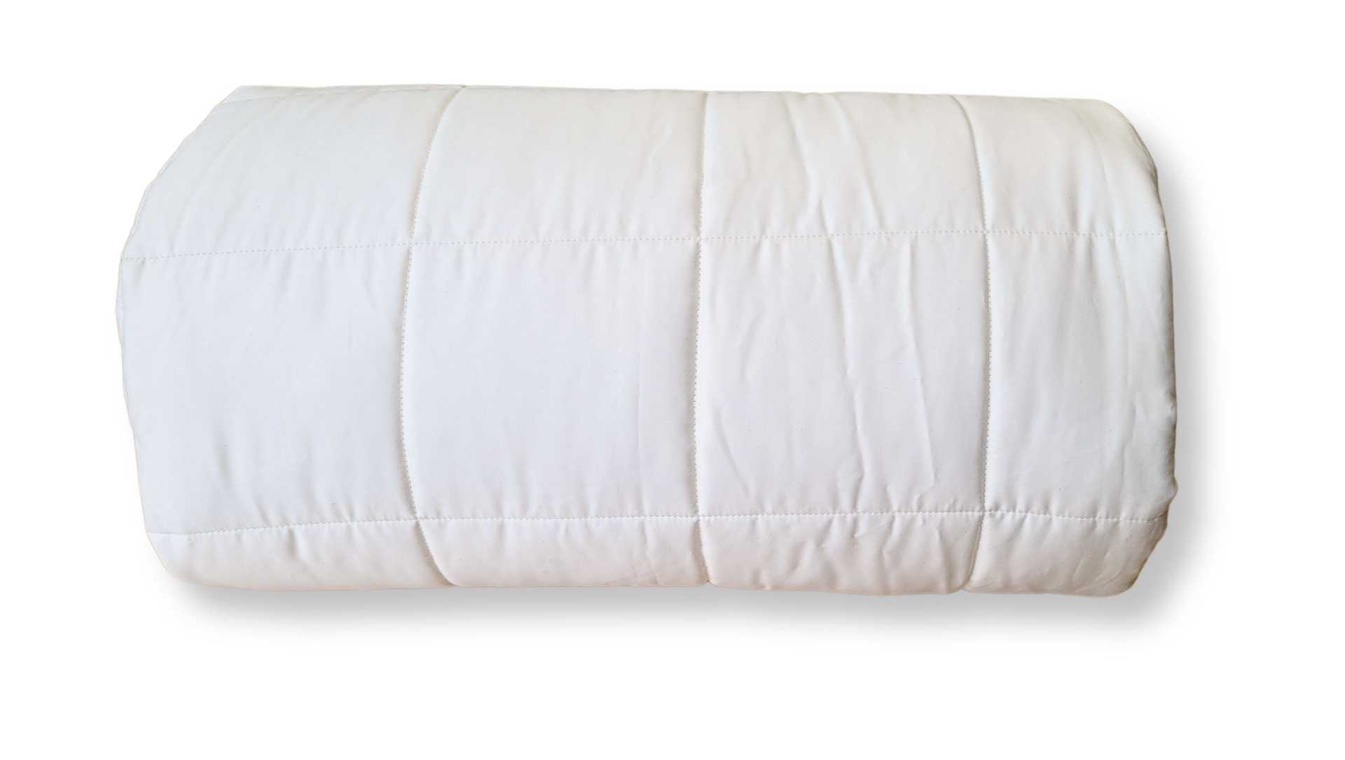 Soaring Heart Natural Beds Back to School Organic Quilted Cotton Comforter