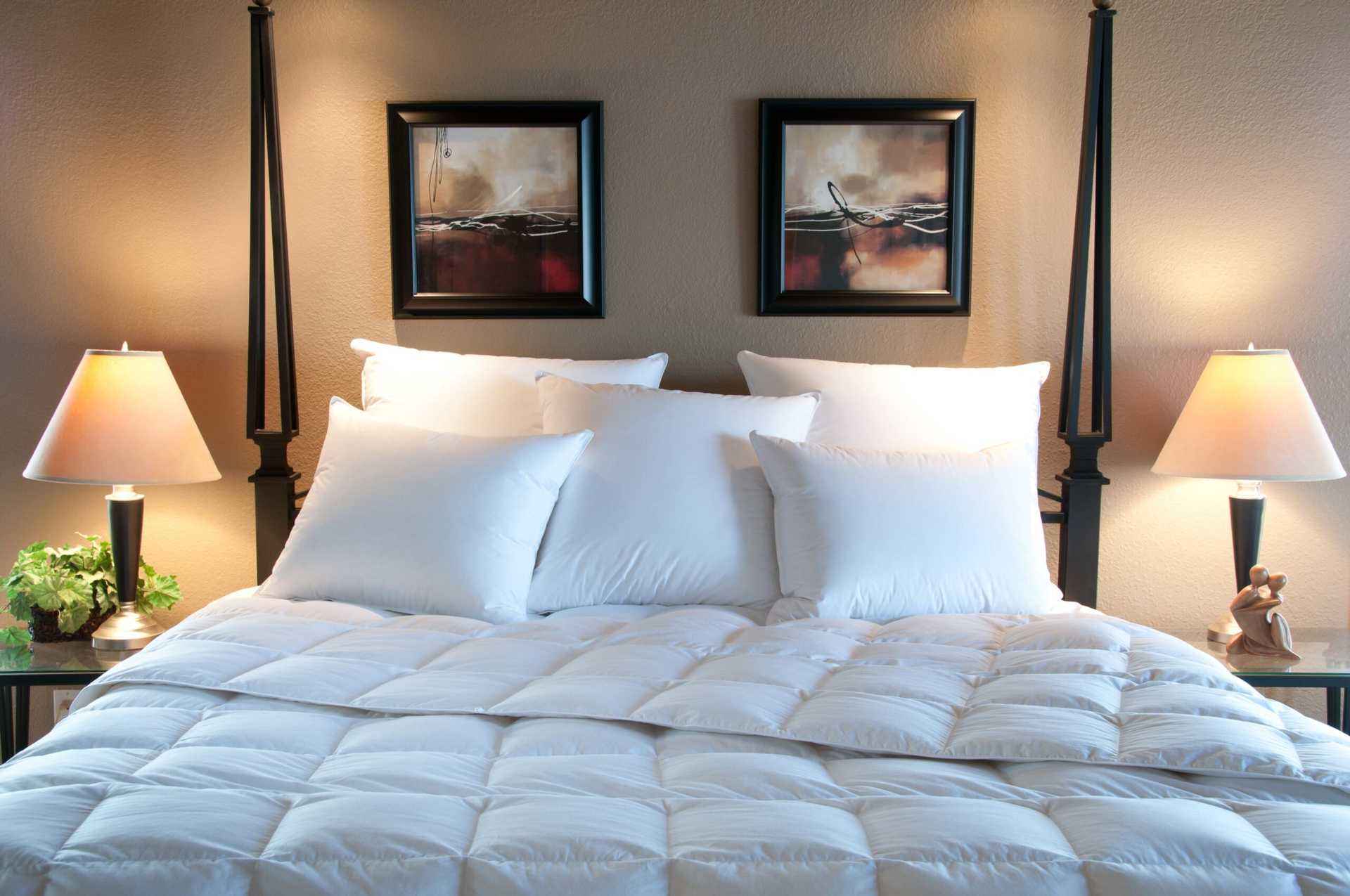 Limited Item: Avalon, 600 Hypodown Duvet Insert