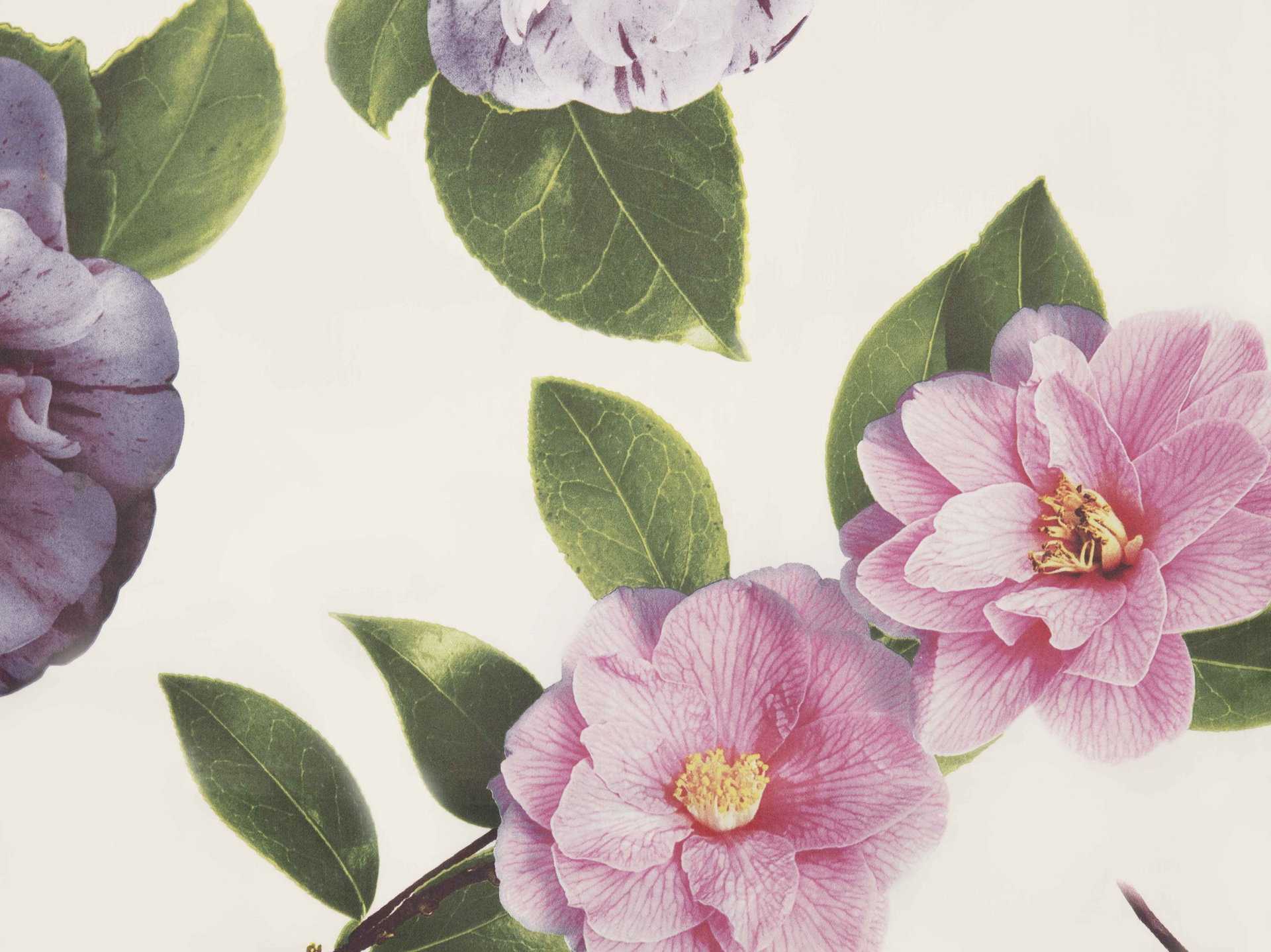 Camelia Sham