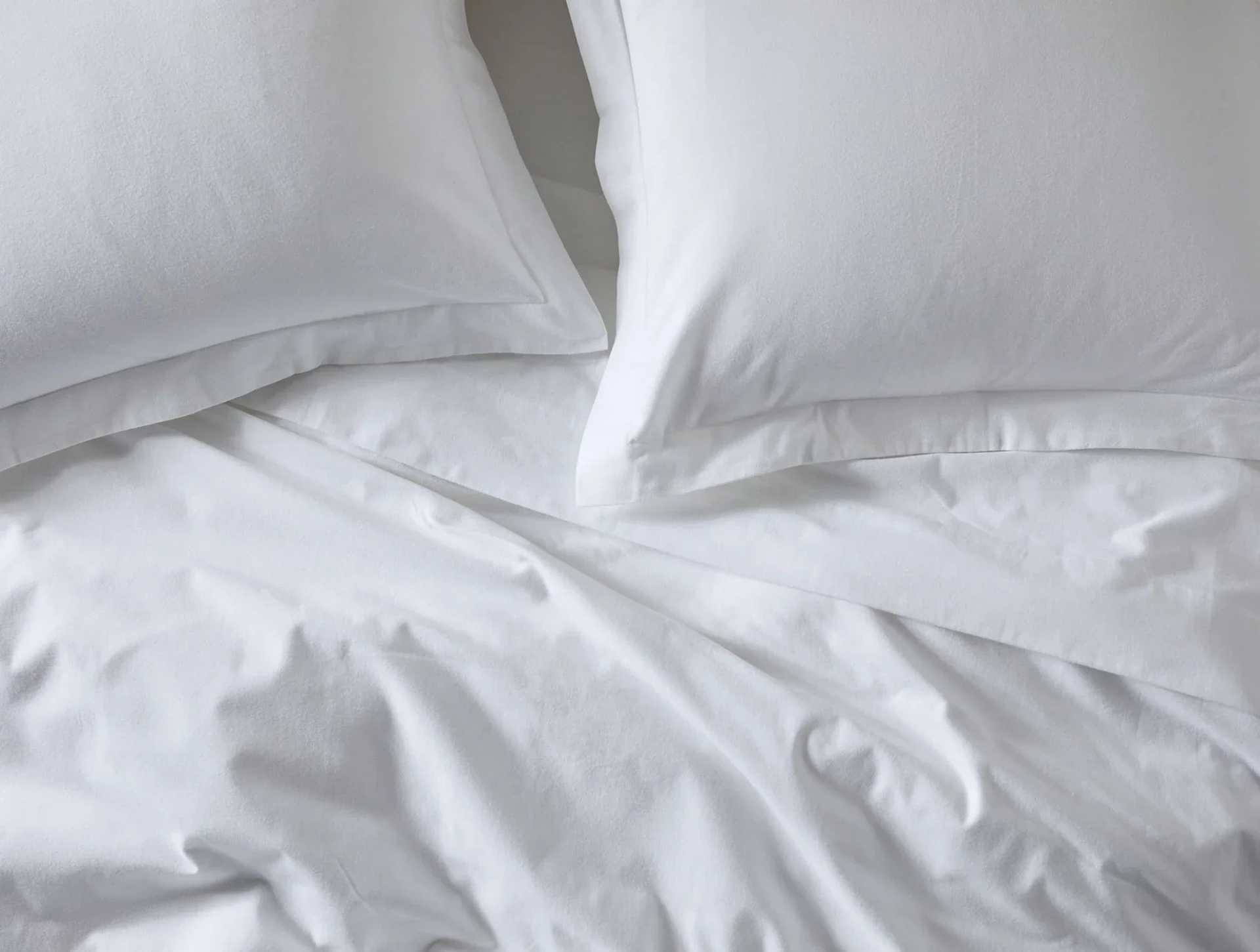 Cloud Brushed&trade; Organic Flannel Sham