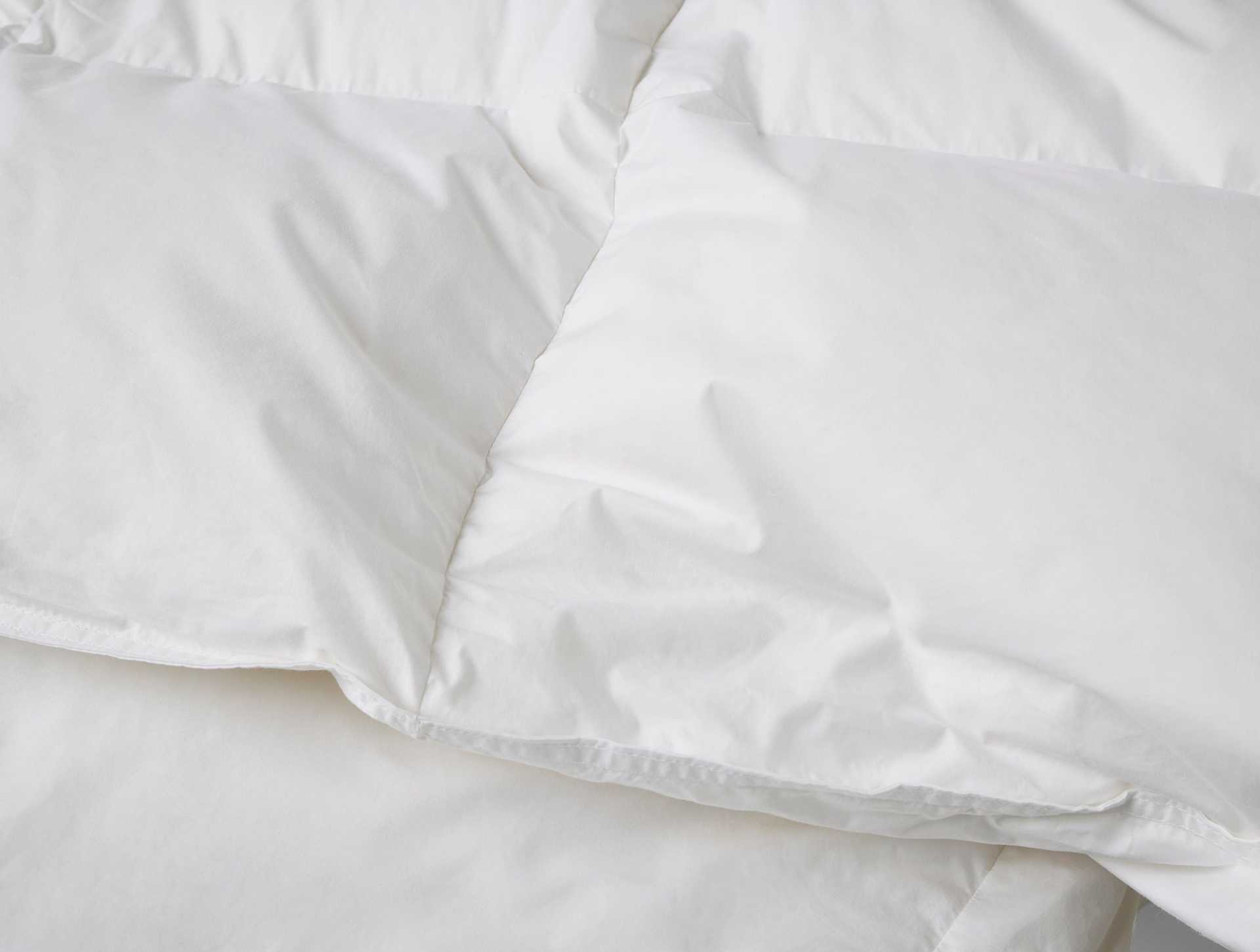 Goose Down Duvet Insert