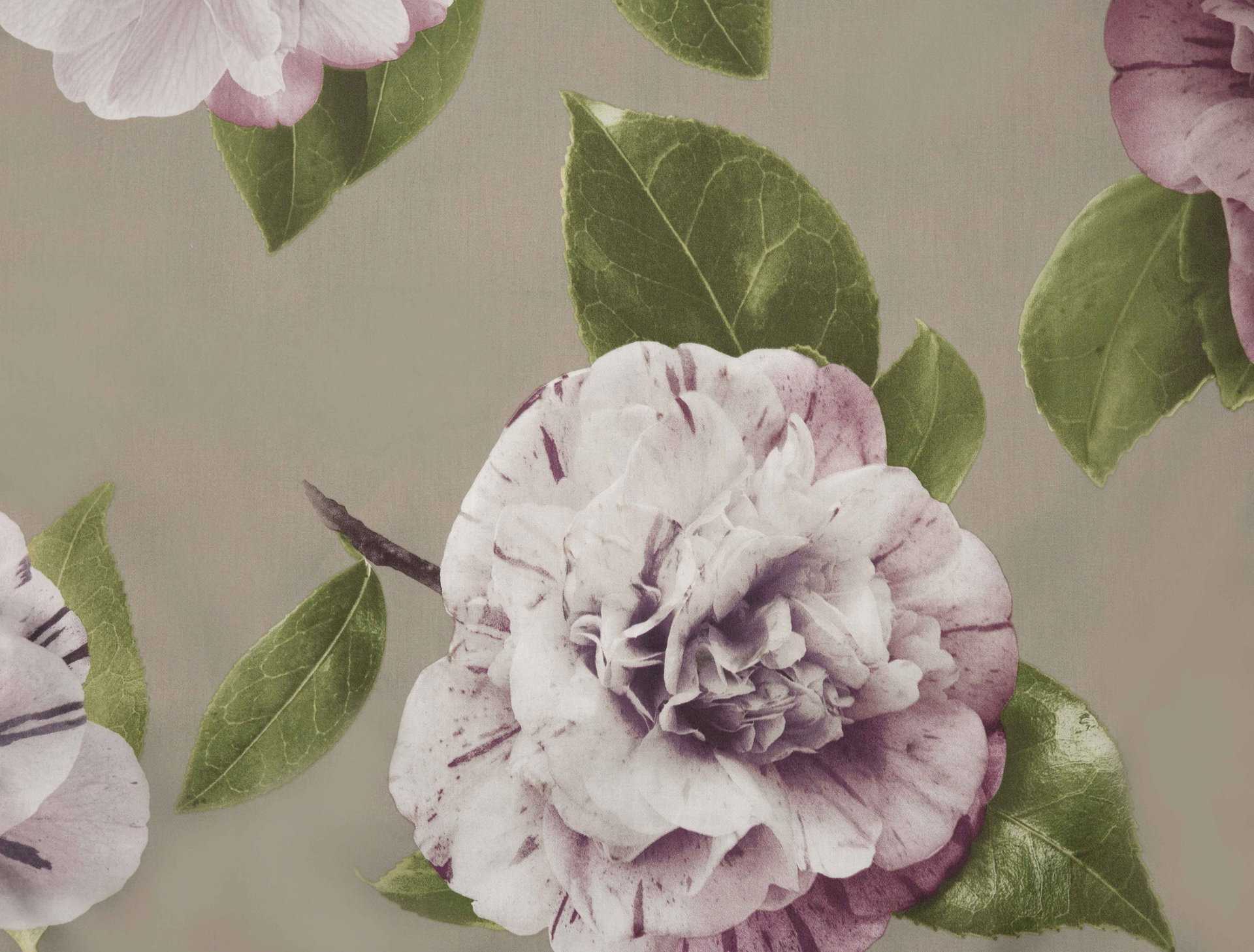 Camelia Sham