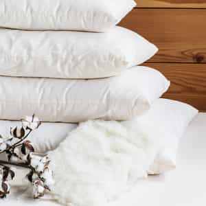 Certified Organic Wool Bed Pillows