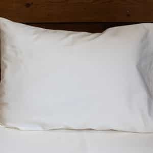 All-Natural Travel Pillow