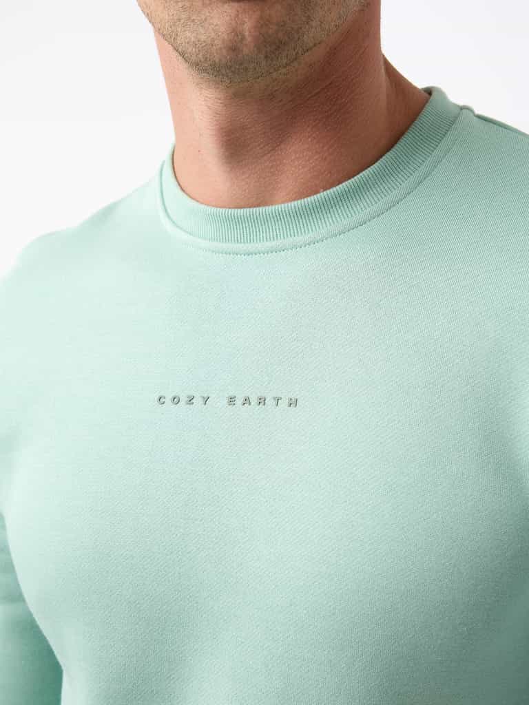 A person wearing a Men's CityScape Crewneck in light green with "Cozy Earth" printed on the front. The focus is on the upper section of the clothing, set against a plain white background. |Color:Wintergreen
