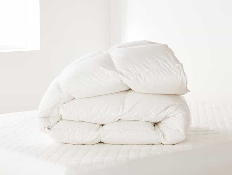 Winter Weight Down Duvet Insert