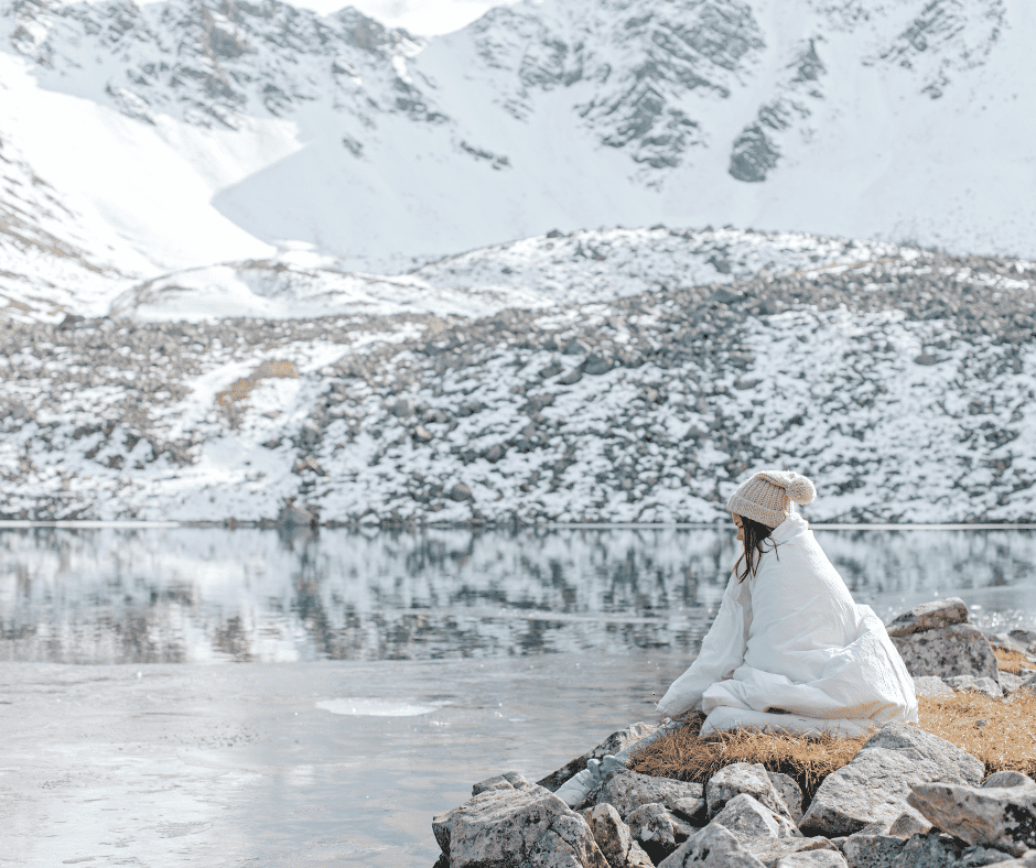 Denali Arctic Comforter