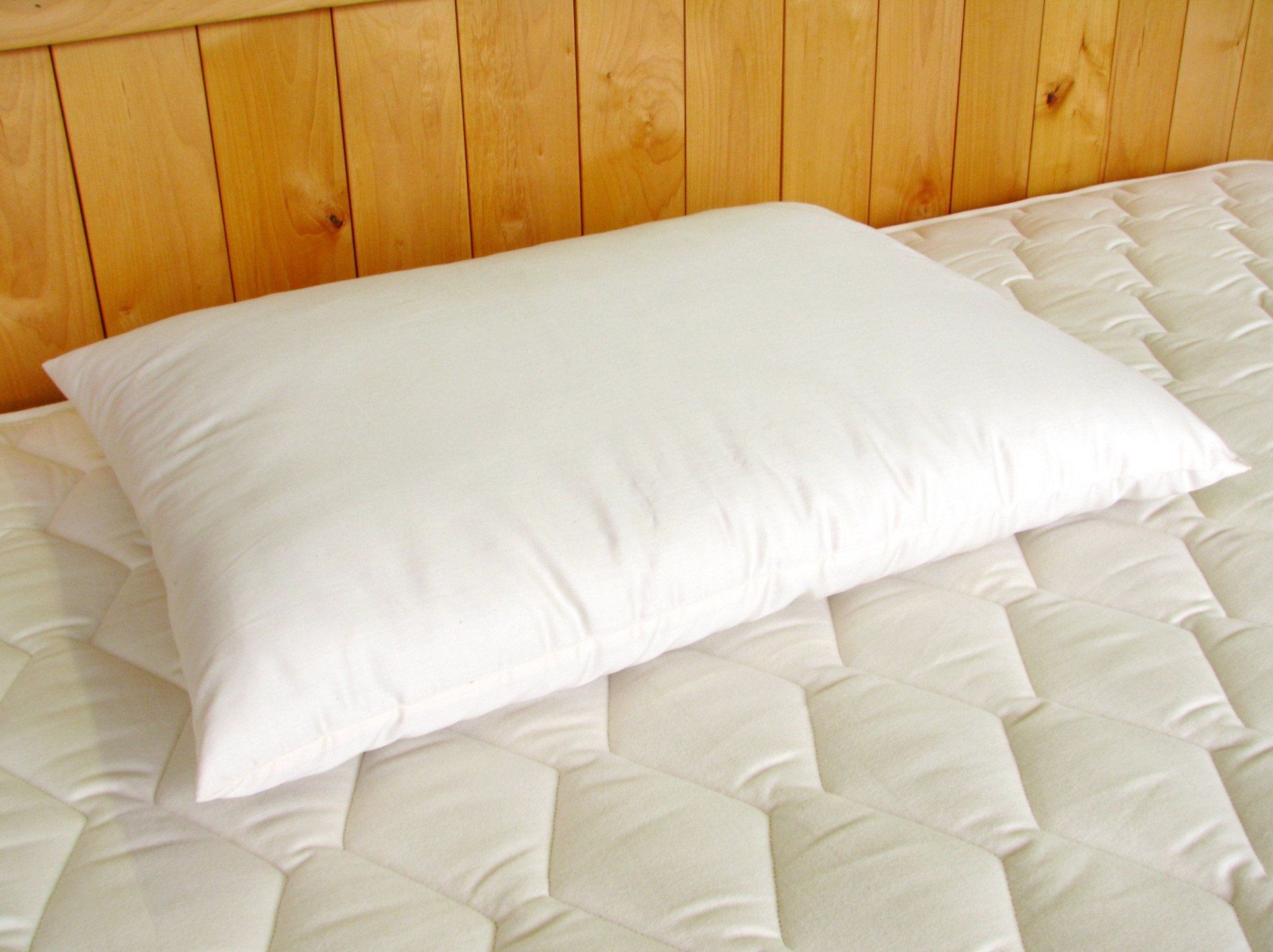 Holy Lamb Organics Natural Child's Wool-Filled Bed Pillow