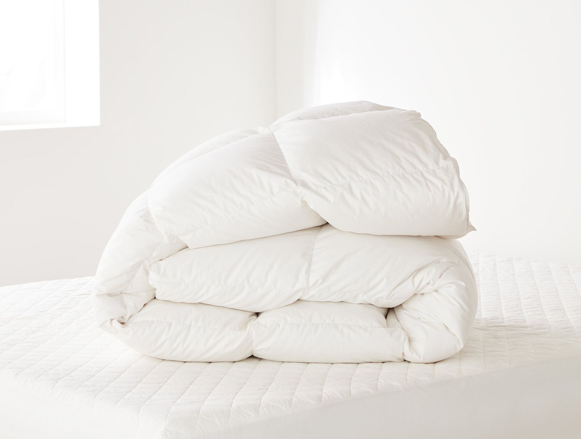 Winter Weight Down Duvet Insert | White