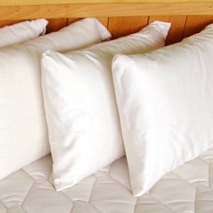 Holy Lamb Organics Certified Organic Travel Pillow