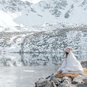 Denali Arctic Comforter