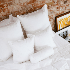 Decorative Feather Pillows