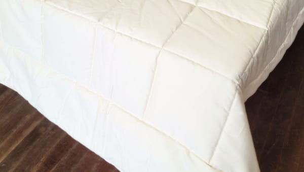 Soaring Heart Natural Beds Back to School Organic Quilted Cotton Comforter