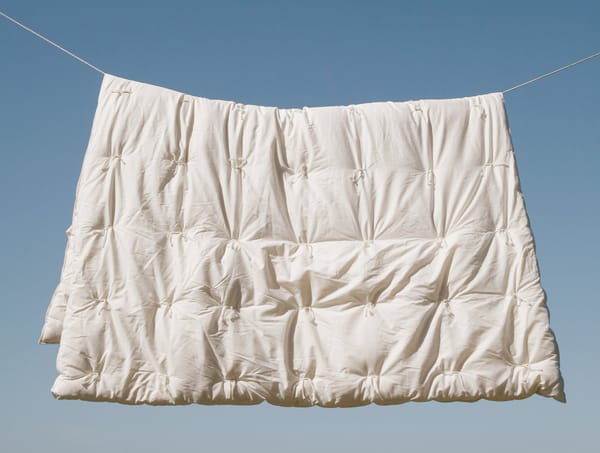 Climate Beneficial Wool Duvet Insert